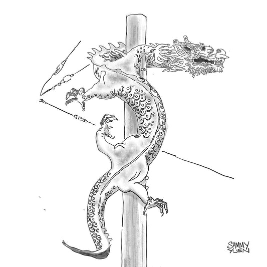 Flying Dragons